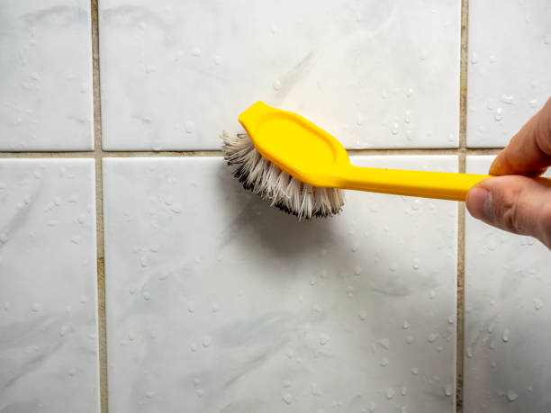 Best Emergency Mold Removal  in Rodeo, CA